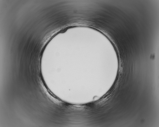 X0000115080437200912081215