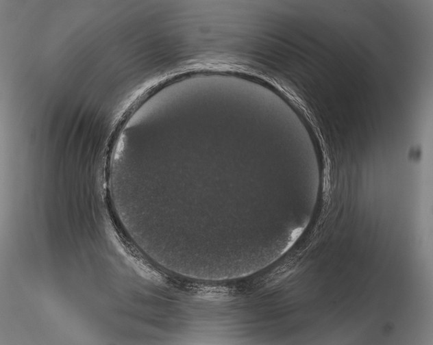 X0000115080438200912081215