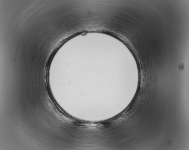 X0000115080439200912081215