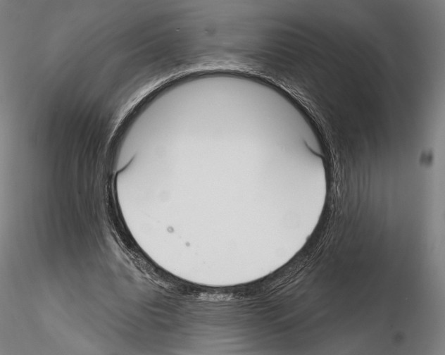 X0000115080440200912081215