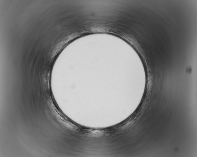 X0000115080441200912081215