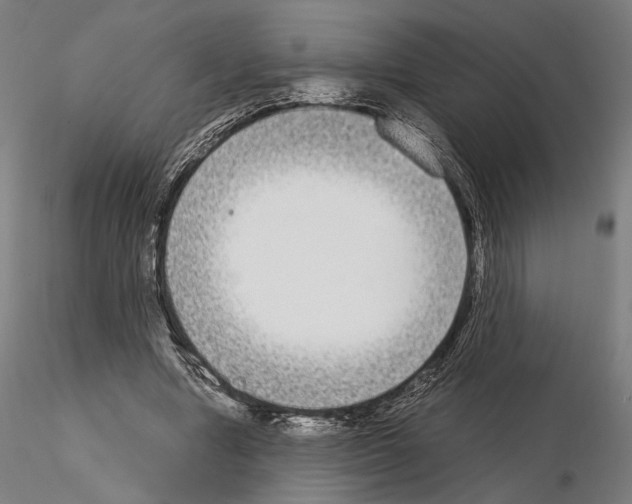 X0000115080442200912081215