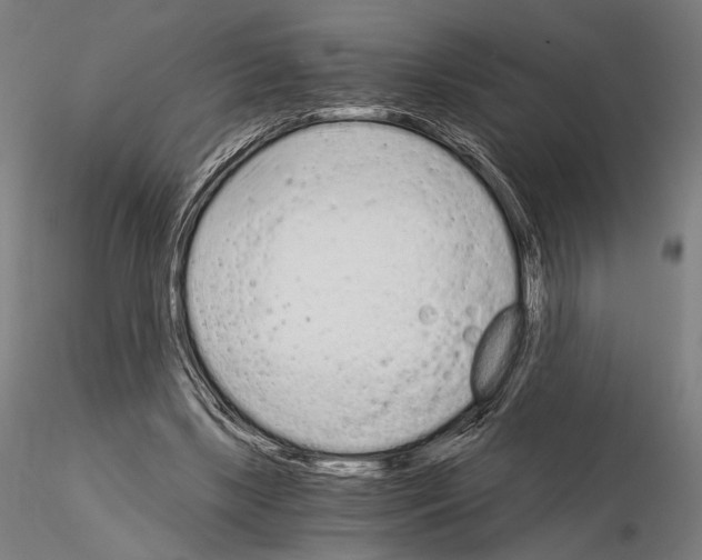 X0000115080443200912081215