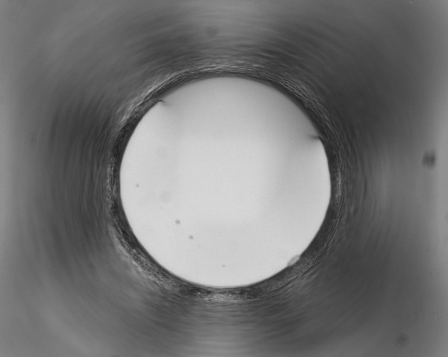 X0000115080444200912081215