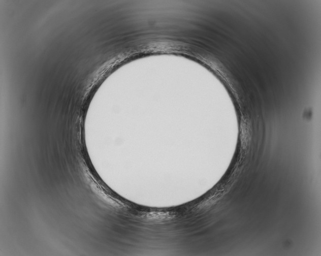 X0000115080445200912081215