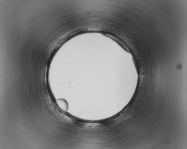 X0000115080446200912081215