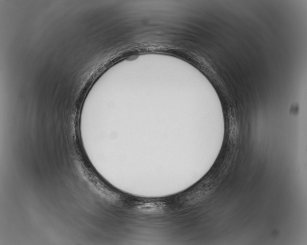 X0000115080447200912081215