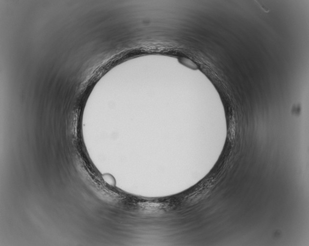 X0000115080448200912081215