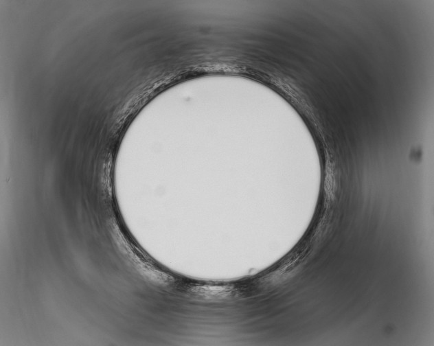 X0000115080449200912081215