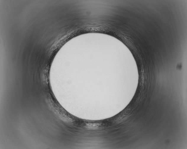 X0000115080450200912081215