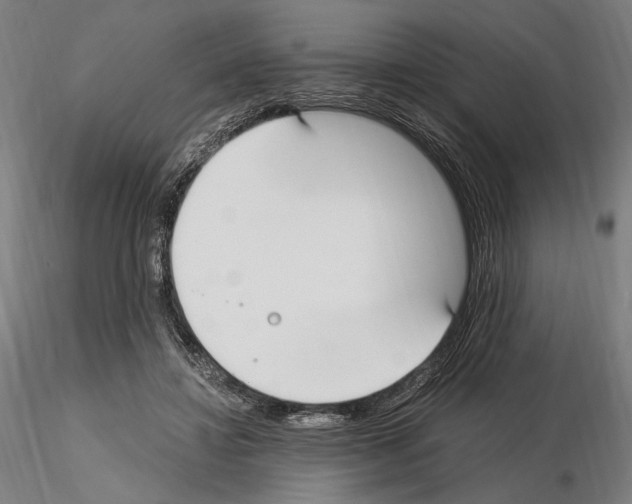 X0000115080452200912081215