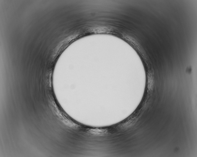 X0000115080453200912081215