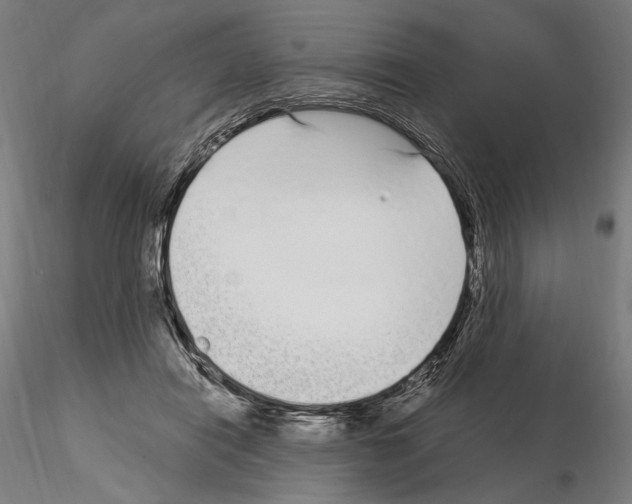 X0000115080454200912081215