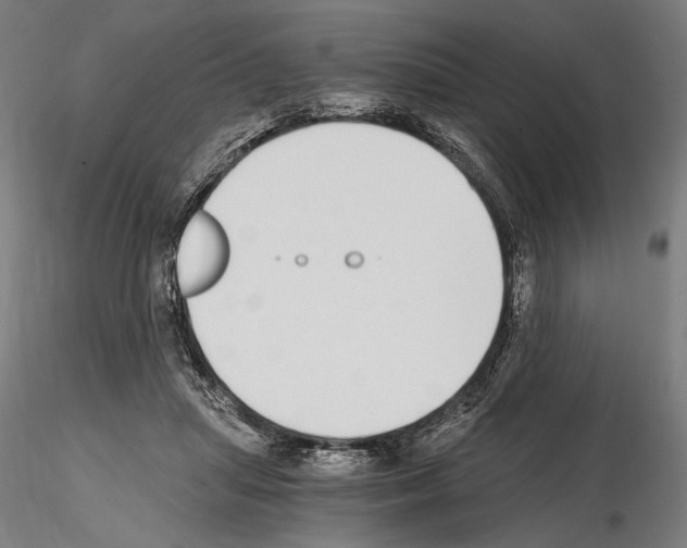 X0000115080455200912081215