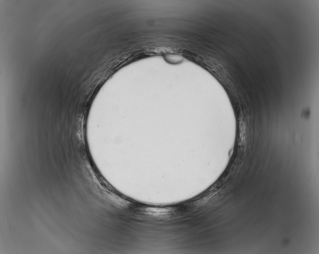 X0000115080457200912081215