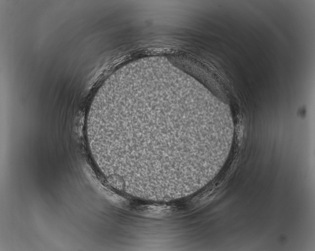 X0000115080458200912081215