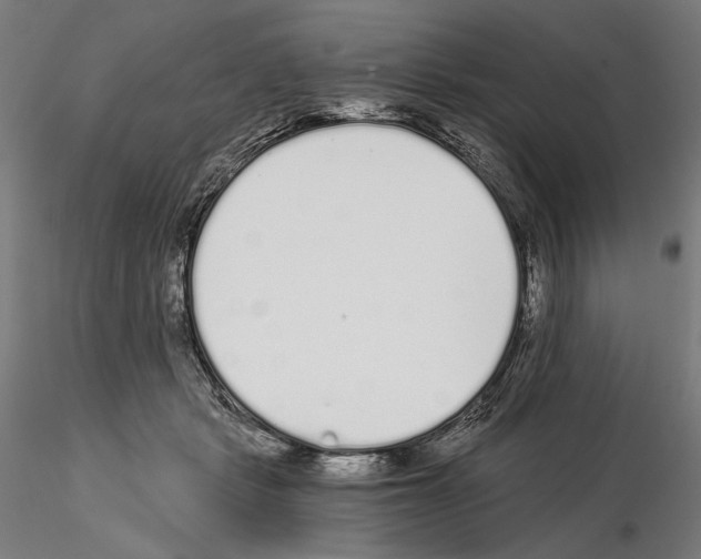 X0000115080461200912081215