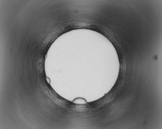 X0000115080462200912081215