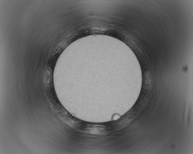 X0000115080463200912081215