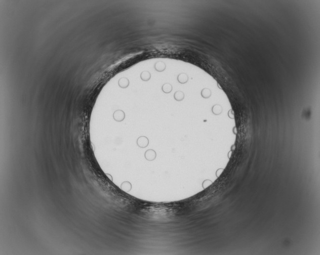 X0000115080464200912081215