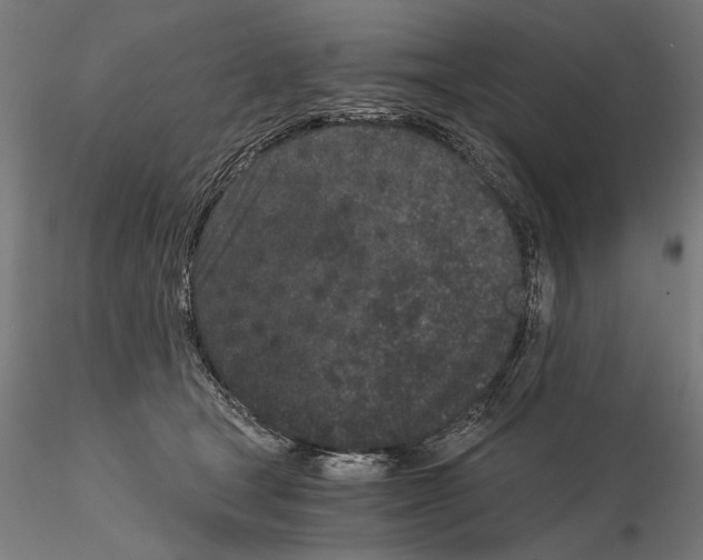 X0000115080465200912081215