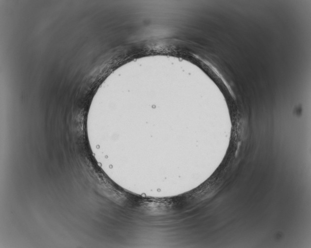 X0000115080466200912081215