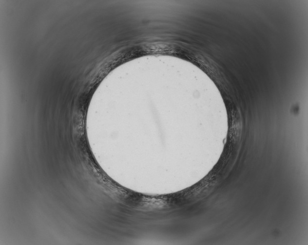 X0000115080469200912081215