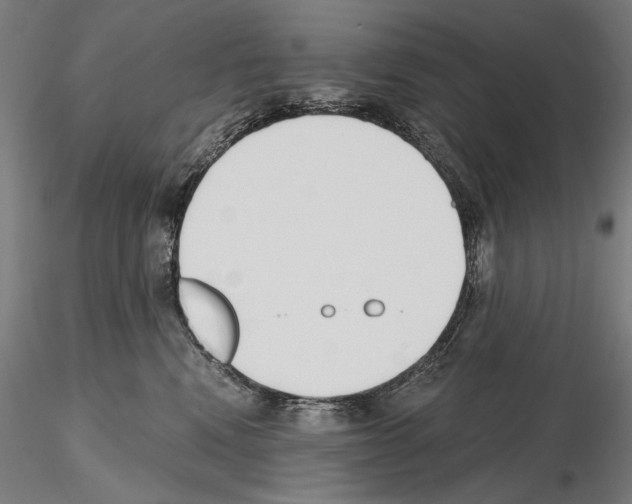 X0000115080472200912081215