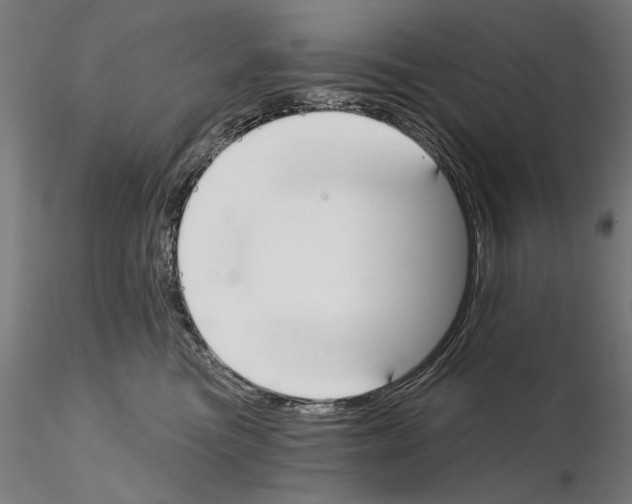 X0000115080473200912081215