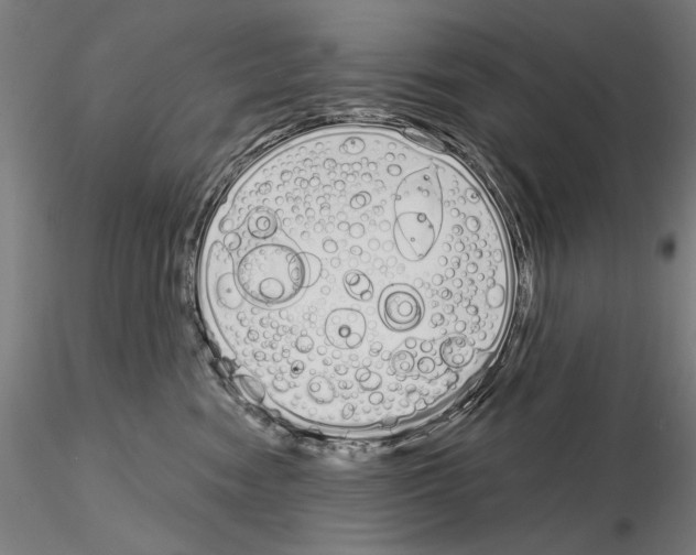 X0000115080474200912081215