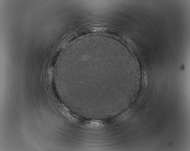 X0000115080475200912081215