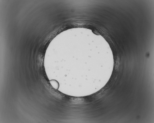 X0000115080476200912081215