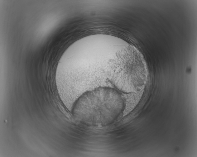 X0000115080477200912081215