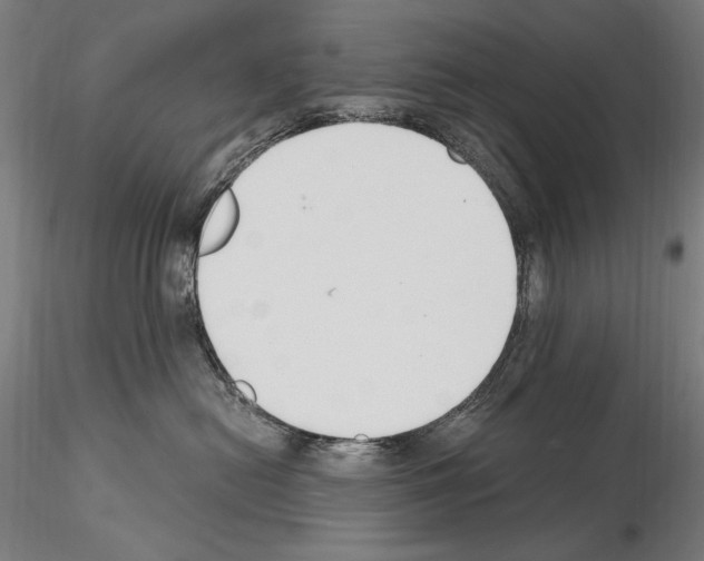 X0000115080478200912081215