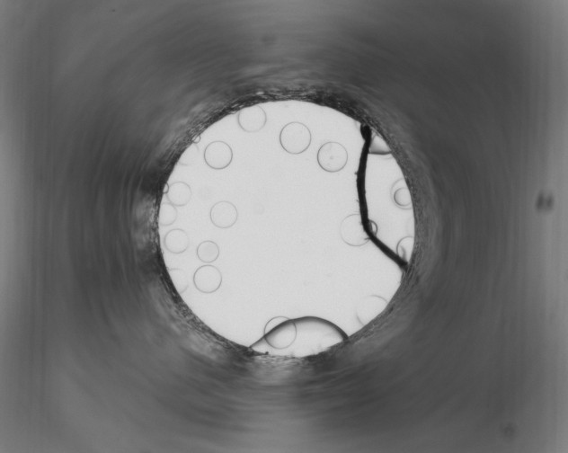 X0000115080480200912081215