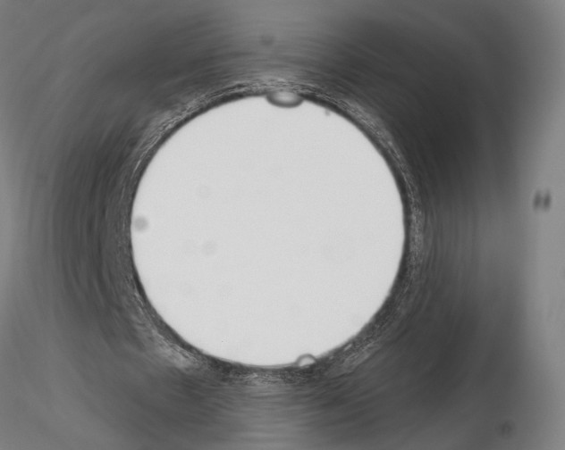 X0000115080481200912081215