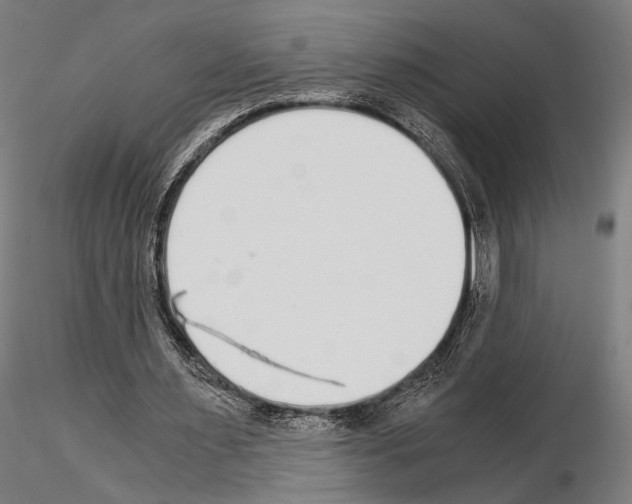 X0000115080483200912081215