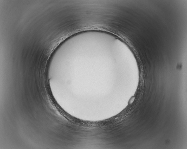 X0000115080485200912081215