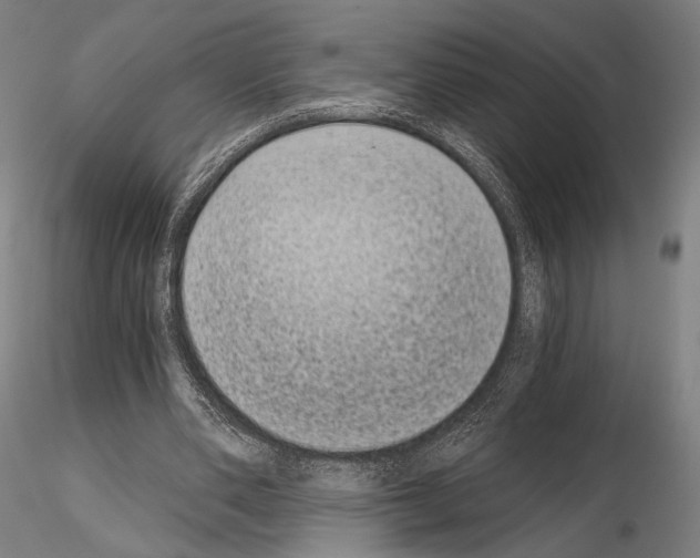 X0000115080486200912081215