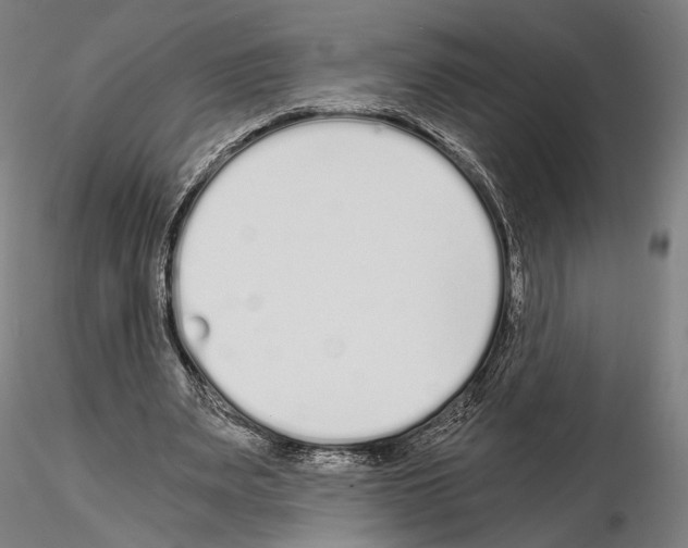 X0000115080487200912081215