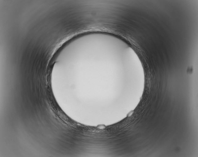 X0000115080488200912081215