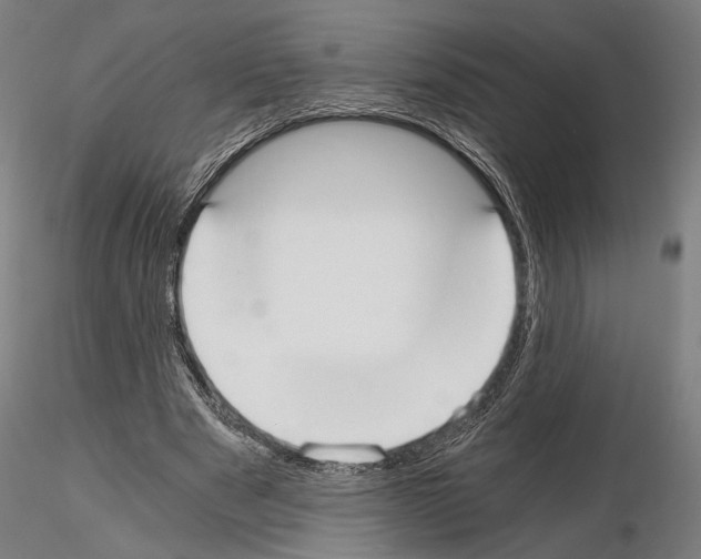 X0000115080489200912081215