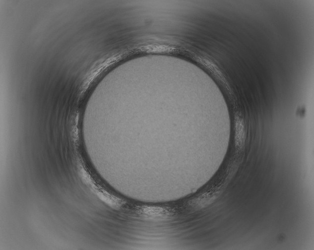 X0000115080490200912081215