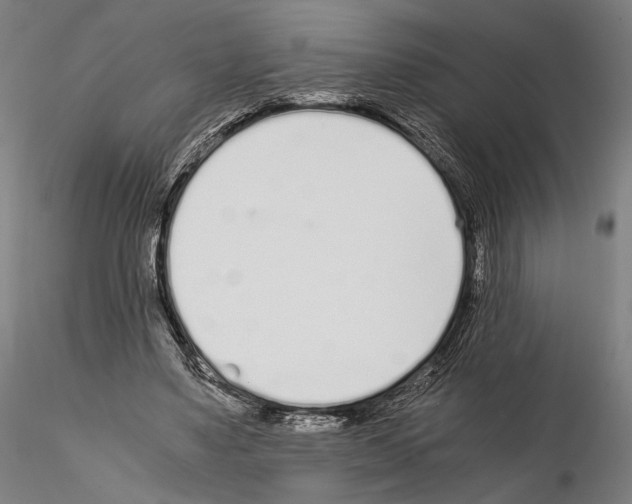 X0000115080491200912081215