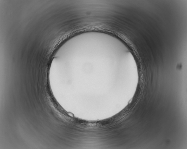 X0000115080493200912081215