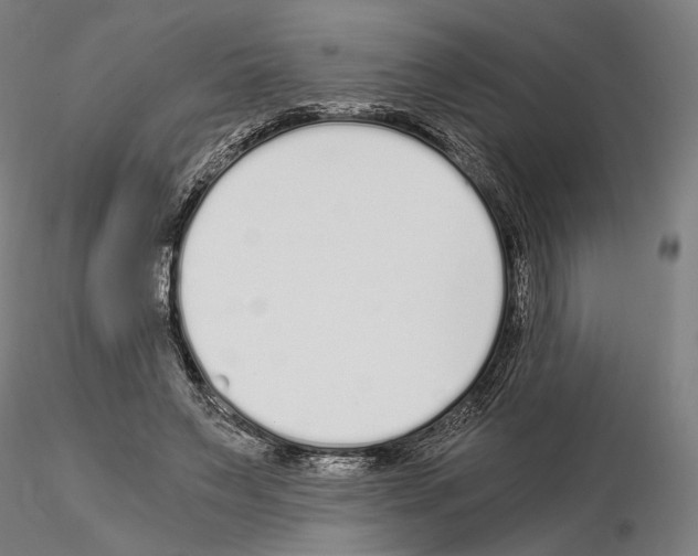 X0000115080495200912081215