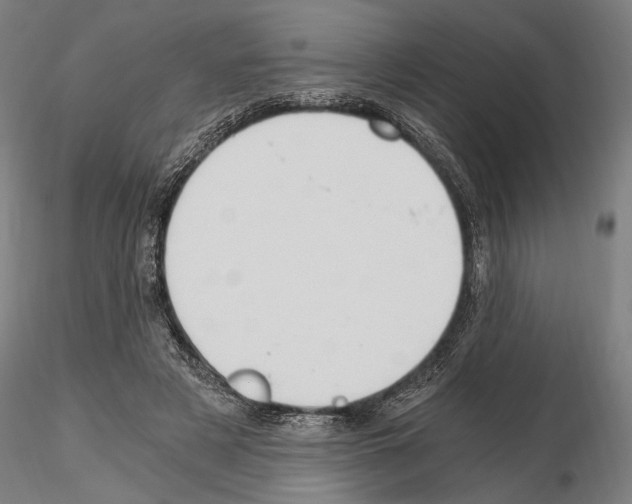 X0000115080497200912081215