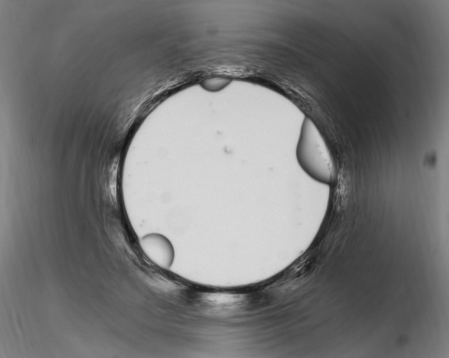 X0000115080499200912081215