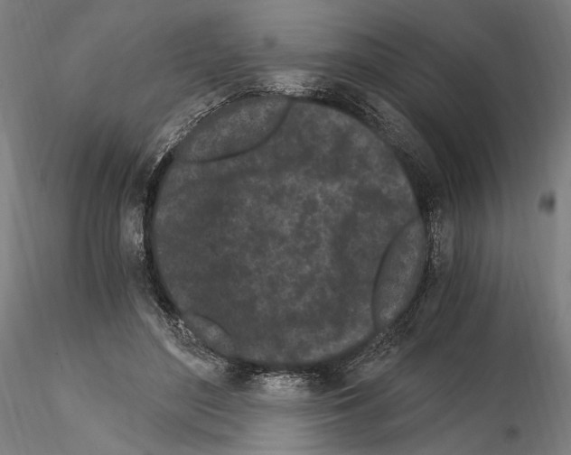 X0000115080500200912081214