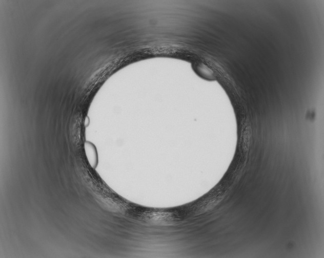 X0000115080501200912081214